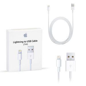 Apple Lightning Cable 1M