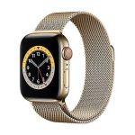 Apple Watch 6 40mm Gold Cell+GPS SS